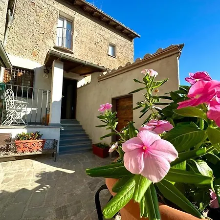 L'archetto Su Civita 아파트